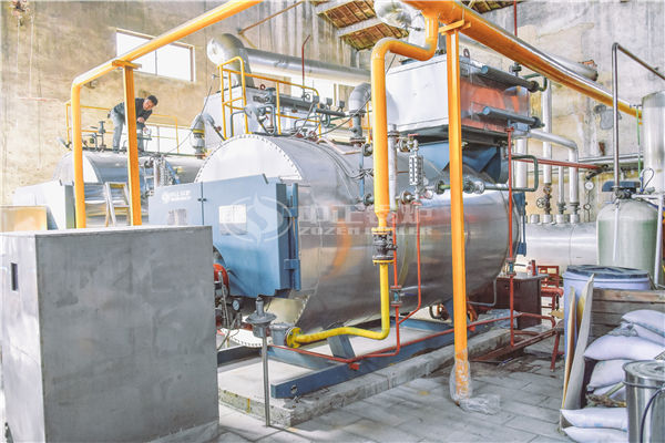 制藥行業(yè)需要什么樣的10噸燃氣蒸汽鍋爐