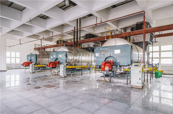 cfb（循環(huán)流化床鍋爐