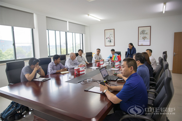 燒生物質(zhì)顆粒的鍋爐