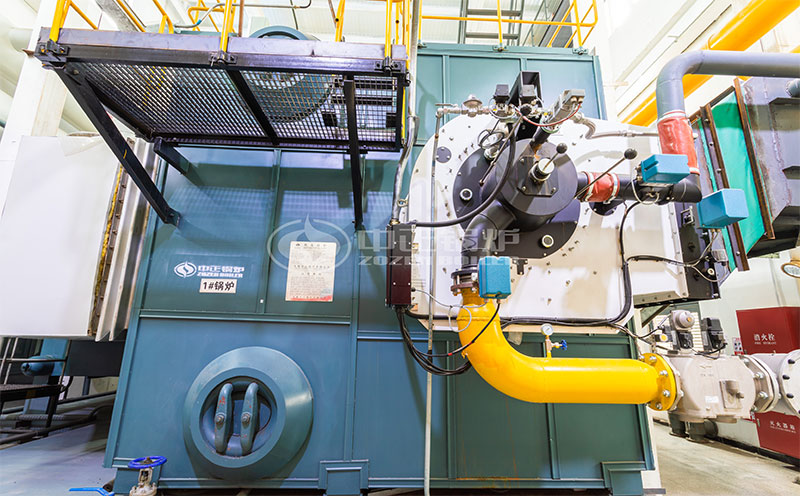 10t生物質(zhì)蒸汽鍋爐客戶案例圖片