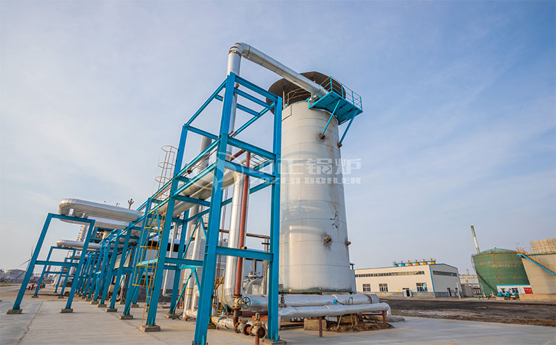 25噸鍋爐額定參數(shù)客戶案例圖片