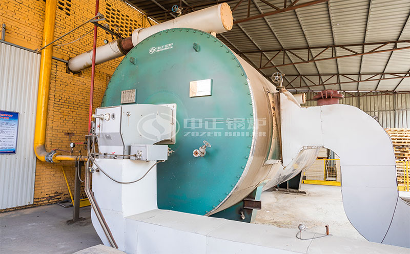 25噸鍋爐額定參數(shù)客戶案例圖片