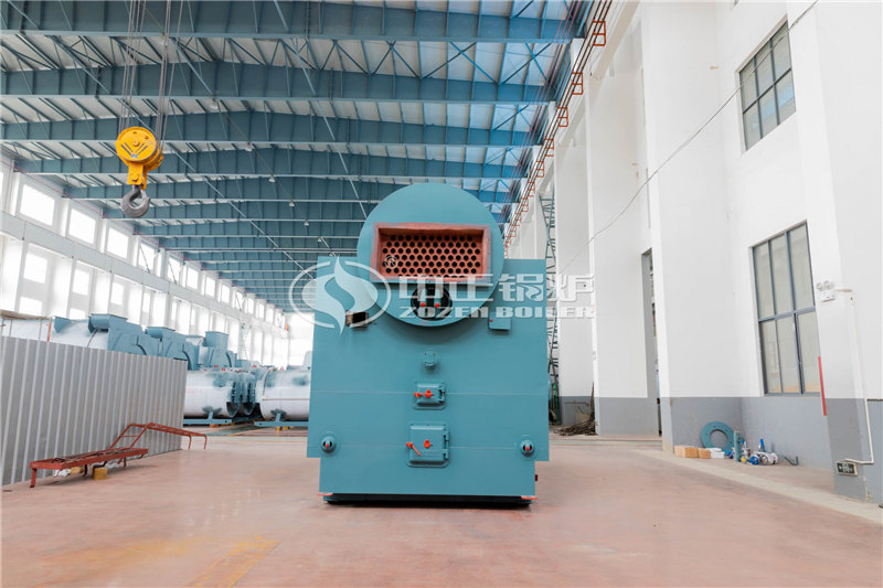 6噸燃?xì)庹羝仩t大廠