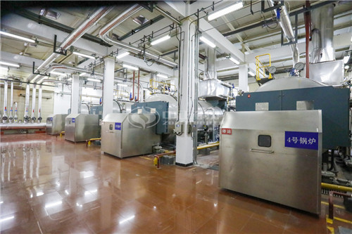 天然氣導(dǎo)熱油鍋爐廠(chǎng)貴嗎