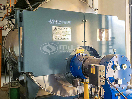 循環(huán)流化床燃燒技術